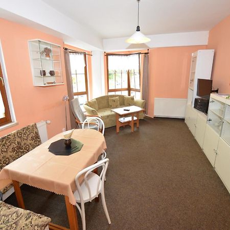Snug Apartment In Jachymov Near Ski Area Luaran gambar